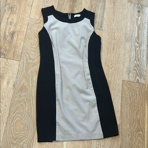 Calvin Klein Sheath Dress